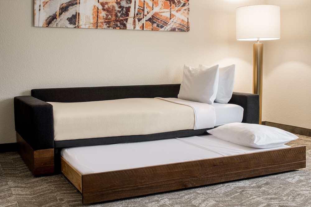 Studio, Multiple Beds - Photo 2