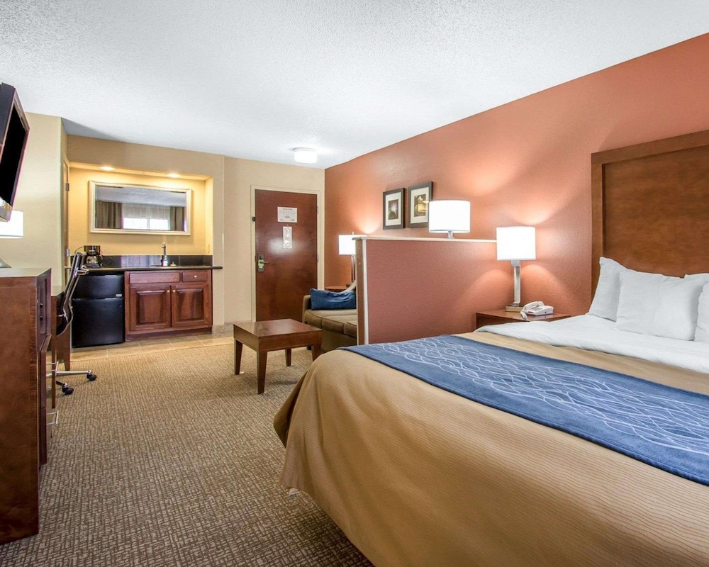 Suite, 1 King Bed with Sofa bed, Non Smoking (1 Person Sofa Bed) photo 3