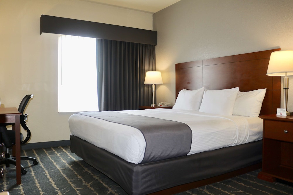 Standard Room, 1 King Bed, Non Smoking, Refrigerator & Microwave photo 1
