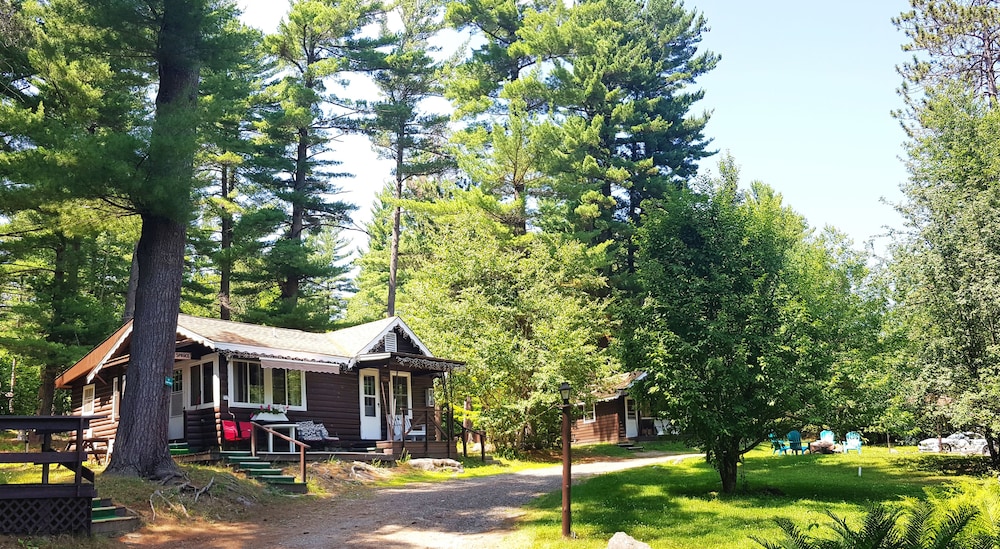 Family Chalet Spruce photo 3