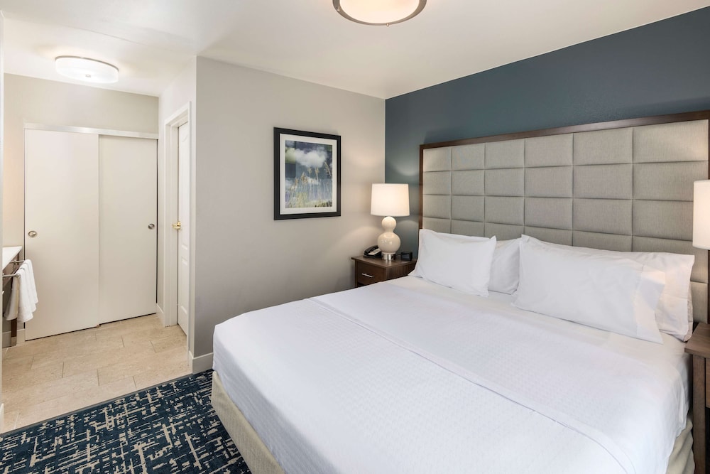 Suite, 1 King Bed, Accessible, Non Smoking (Roll-in shower) - Photo 1