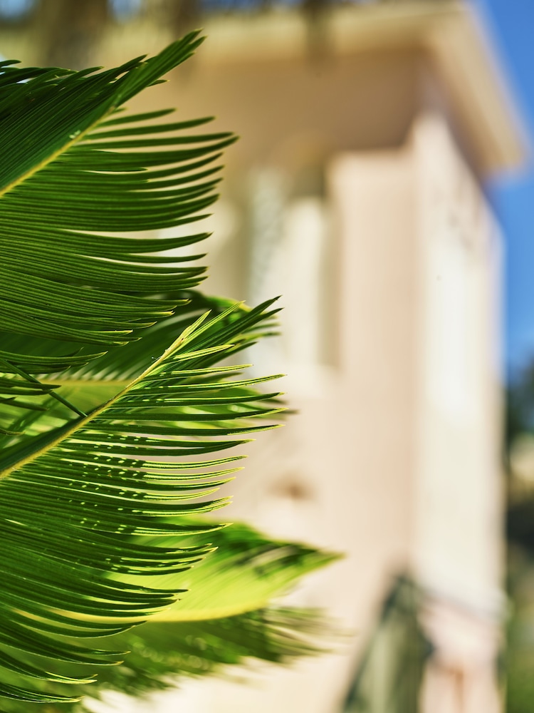 Patio Suite thumbnail 6
