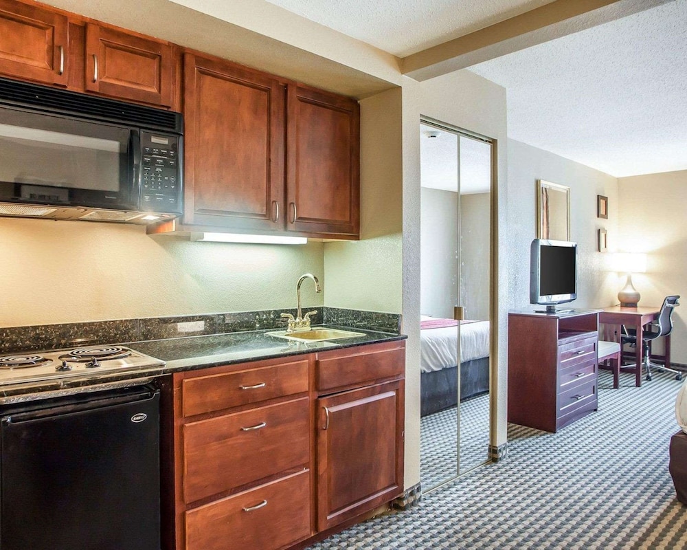 Efficiency, Suite, 1 King Bed with Sofa bed, Non Smoking, Kitchen - Photo 1