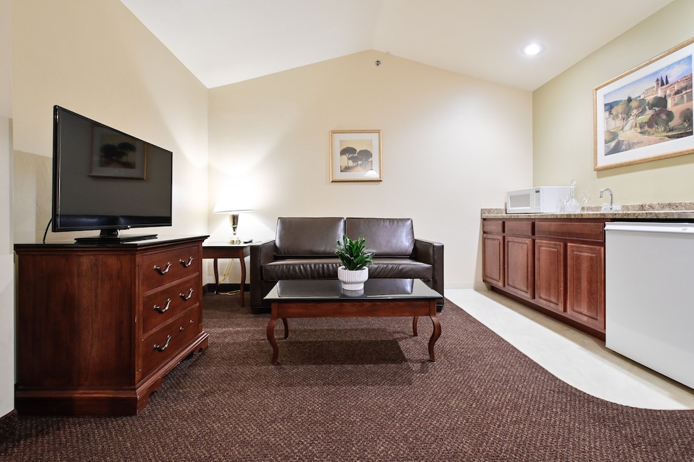 Deluxe Suite (King) - Photo 8