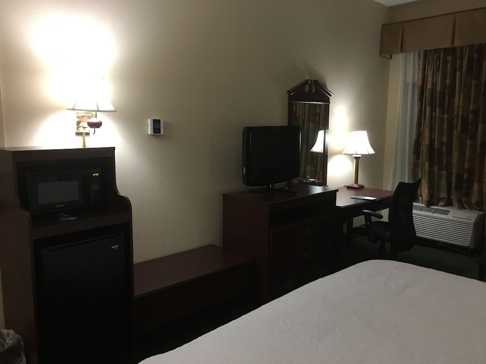 Room, 1 King Bed, Accessible, Non Smoking photo 3