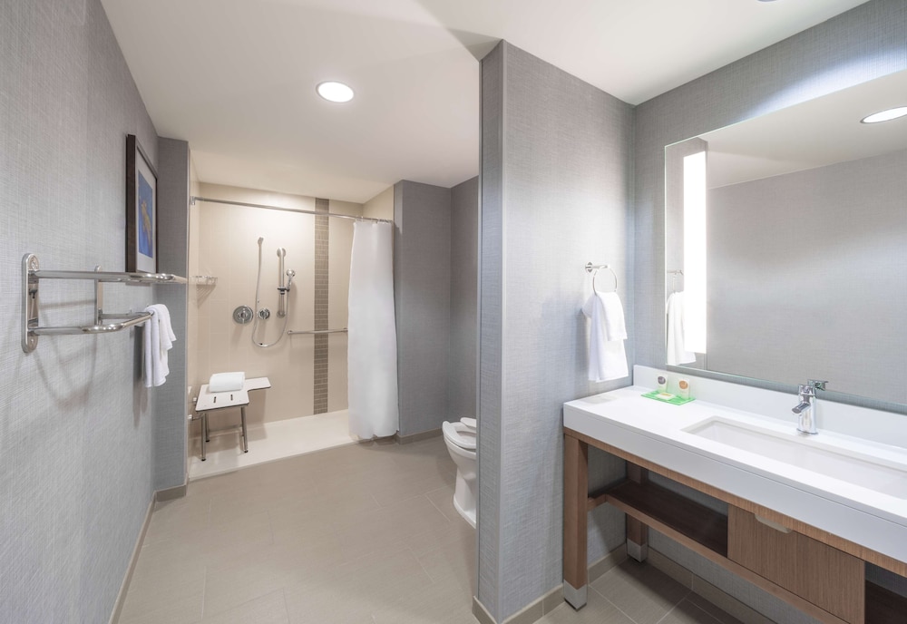 Suite, 1 King Bed with Sofa bed, Accessible (with Shower) - Photo 4