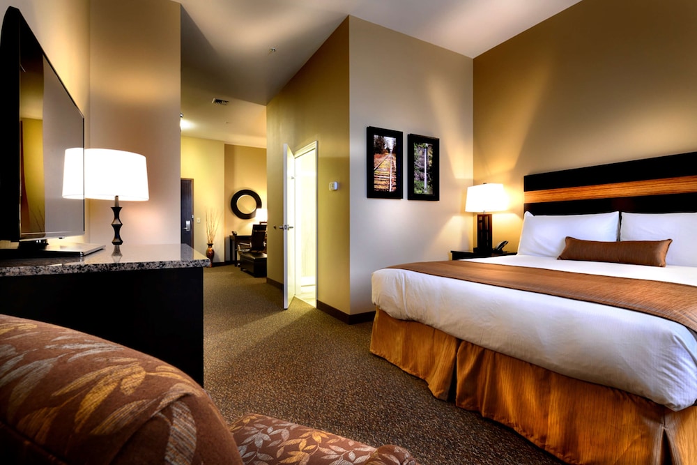 Studio Suite, 1 King Bed photo 1
