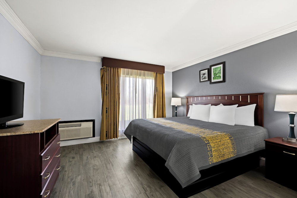 Executive Suite, 1 King Bed with Sofa bed, Non Smoking, Kitchenette photo 2