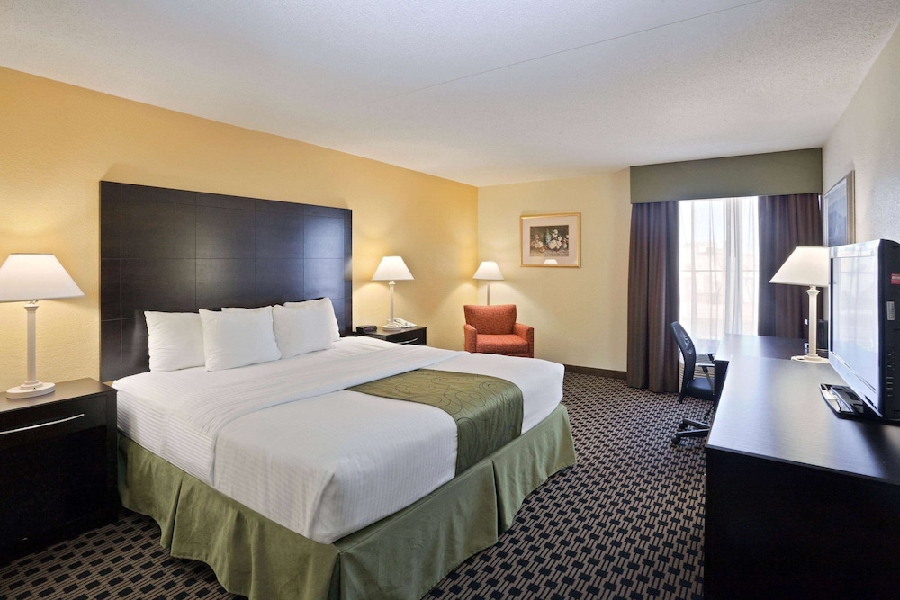 Room, 1 King Bed, Non Smoking