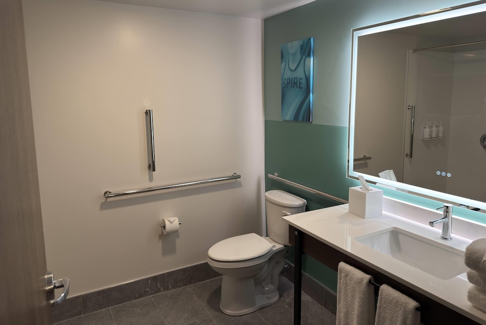 Room, 1 King Bed, Mobility Accessible, Non Smoking (Roll-in Shower)