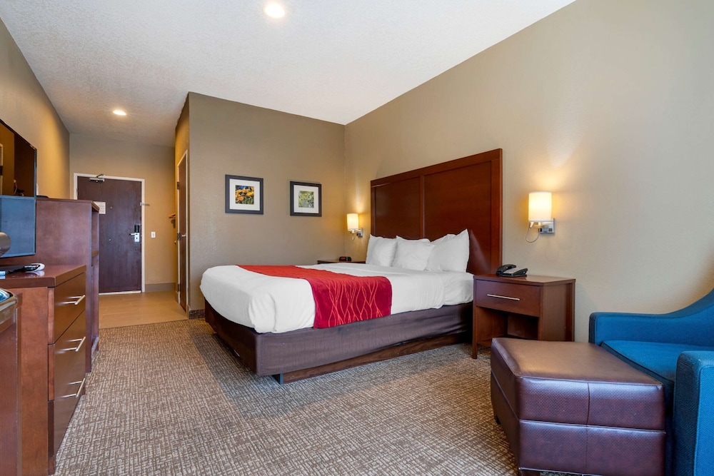 Room, 1 King Bed, Accessible, Non Smoking (Mobility, Roll-In Shower) - Photo 3