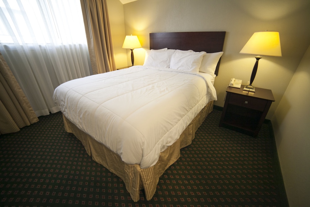 Room, 1 Queen Bed, Accessible photo 3