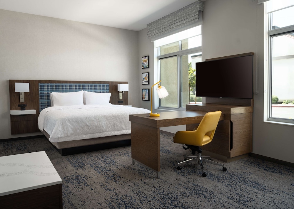Studio Suite, 1 King Bed, Accessible (Roll-In Shower) - Photo 1