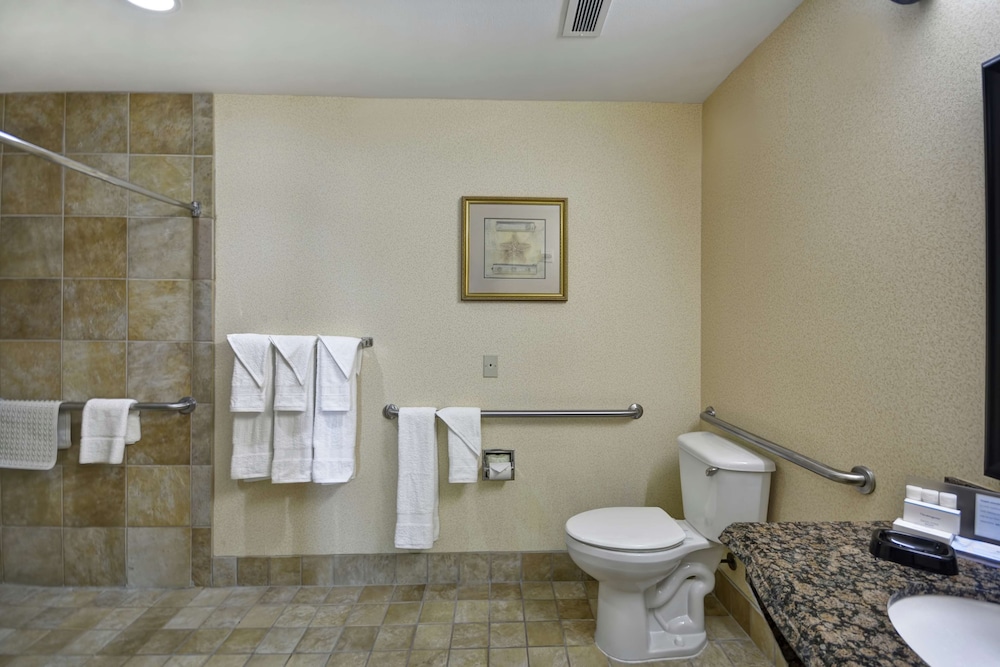 Room, 1 King Bed, Accessible, Non Smoking (Mobility & Hearing, Roll-in Shower)