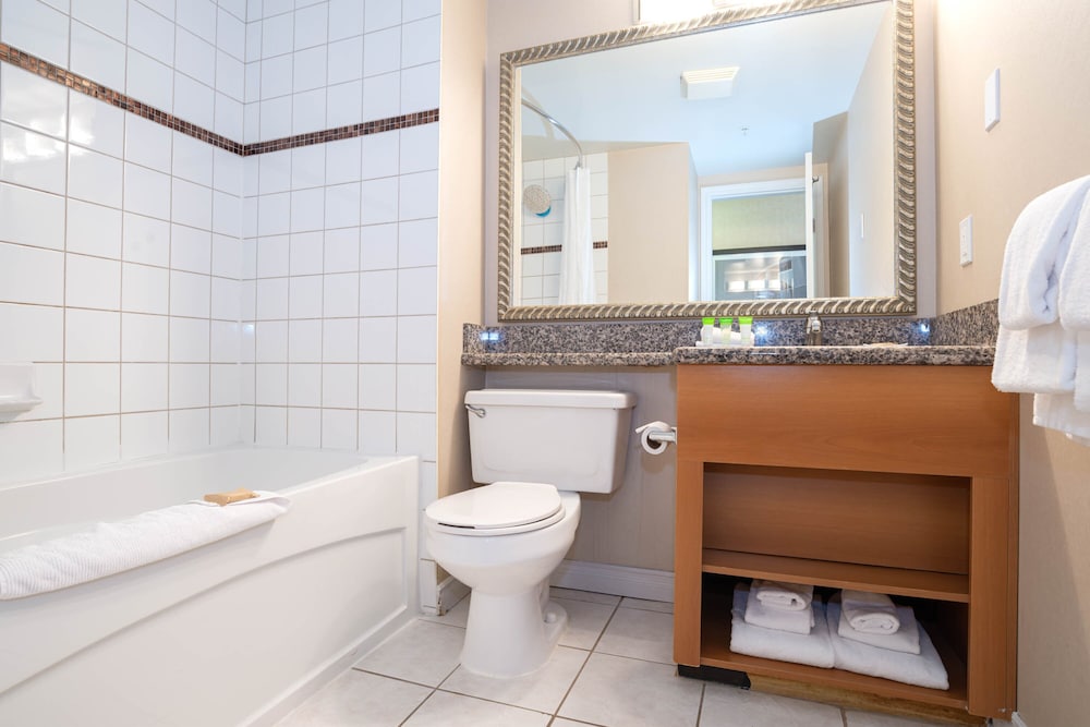 Standard Suite, 1 King Bed with Sofa bed, Kitchenette - Photo 5