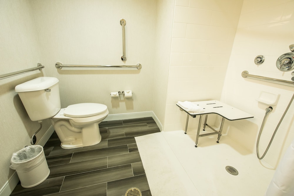 Studio, 1 King Bed, Accessible, Non Smoking (w/ roll-in shower) - Photo 6