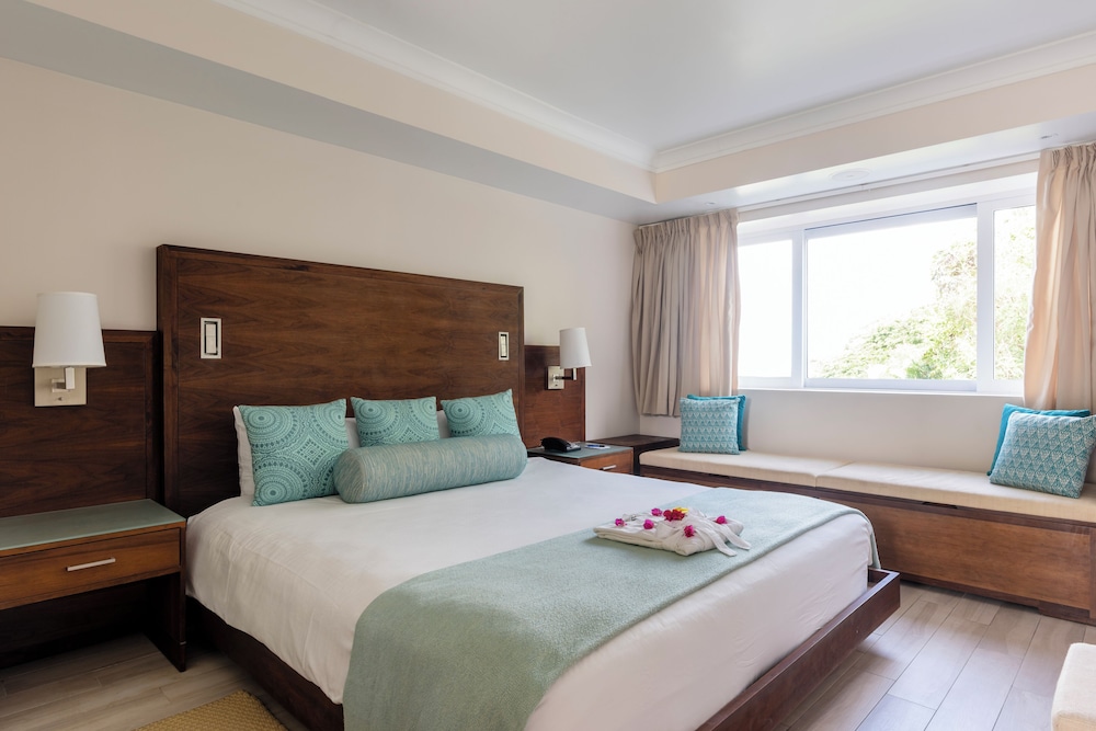 Double Room Single Use, Garden View