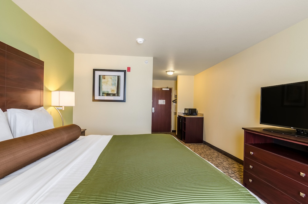 Room, 1 King Bed, Non Smoking photo 2