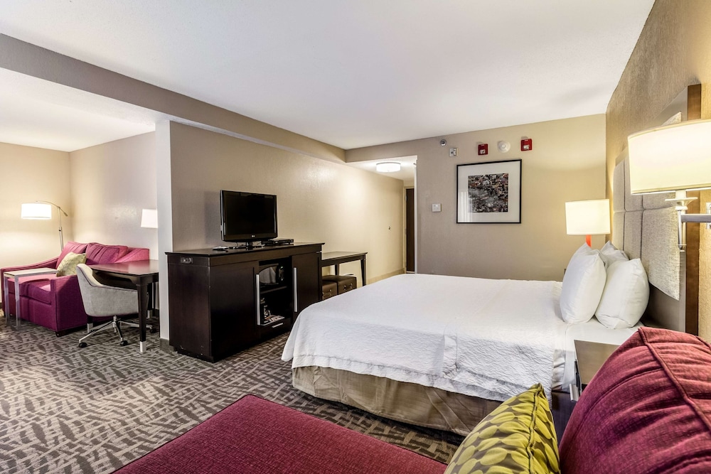 Suite, 1 King Bed, Accessible, Non Smoking