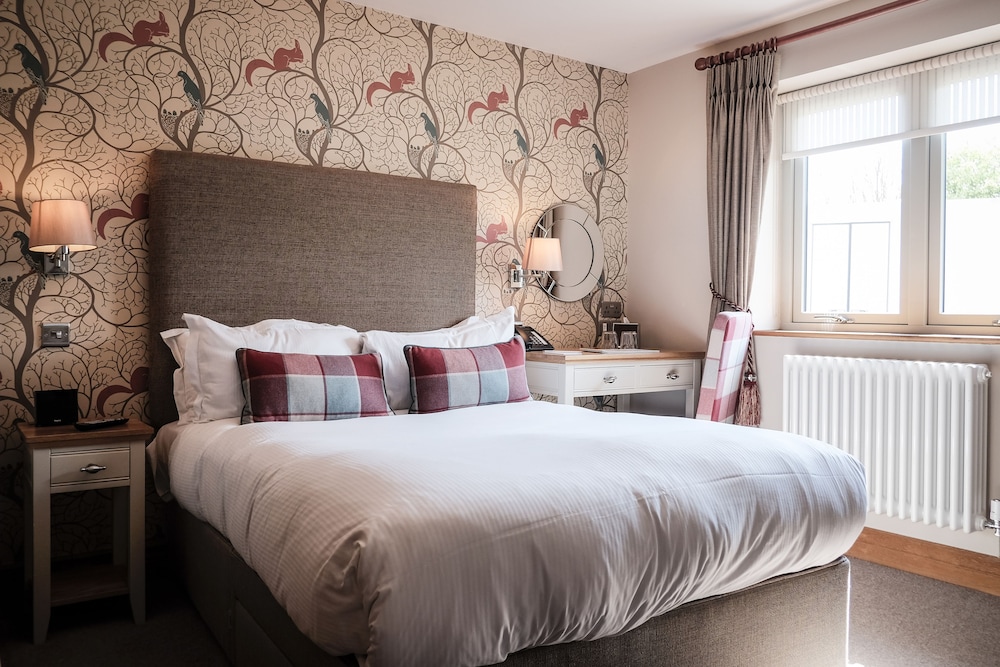 Deluxe Room, 1 King Bed photo 3