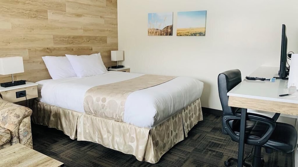 Comfort Single Room, 1 Queen Bed photo 1