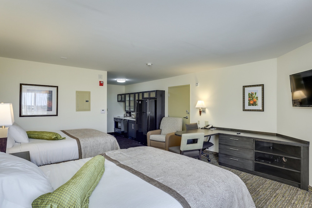 Studio Suite, 2 Queen Beds photo 2