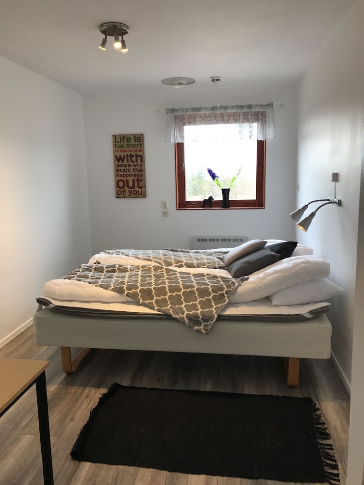 Twin Room photo 1