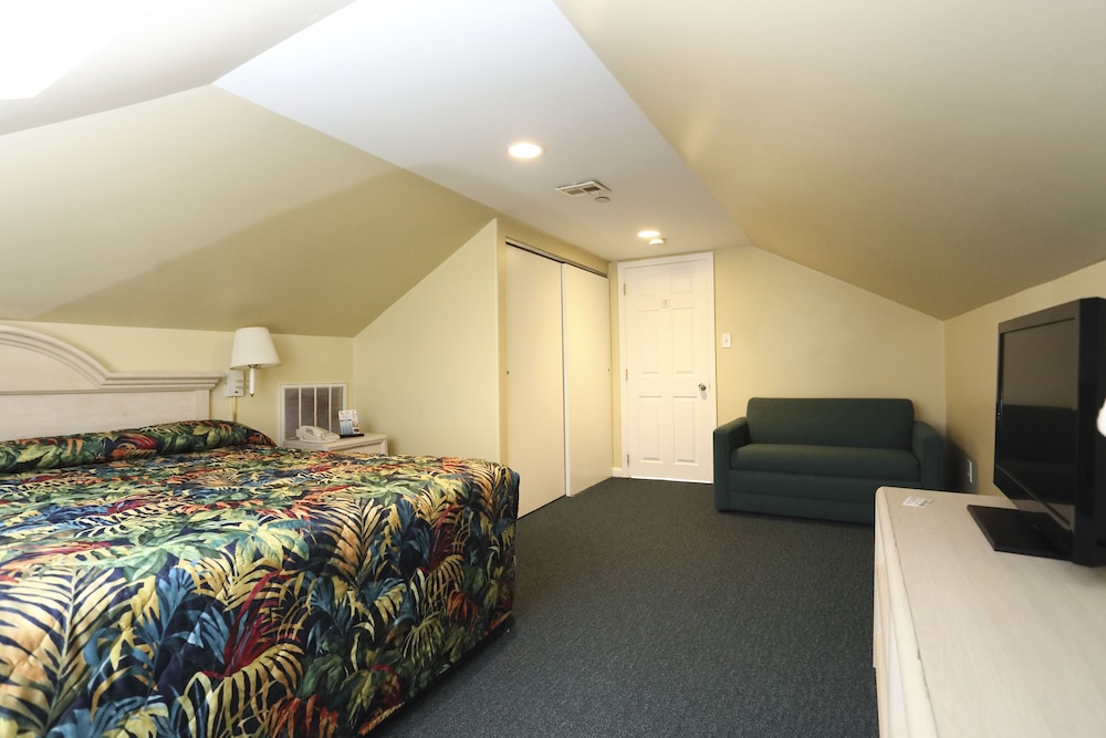 Junior Suite photo 1
