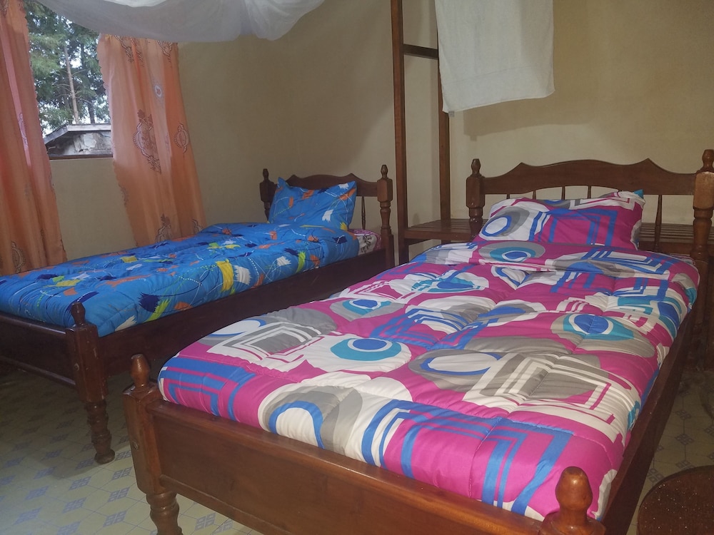 Twin Room photo 1