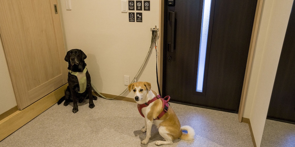 [Dog-friendly] Room for 8 People, Non Smoking - Photo 23