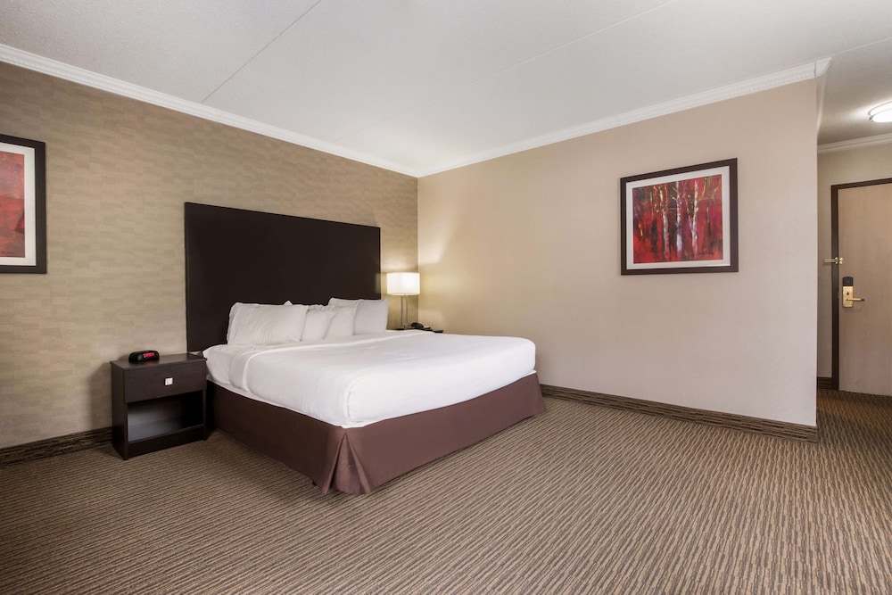 Standard Room, 1 King Bed, Non Smoking, Jetted Tub (with Sofabed) photo 2