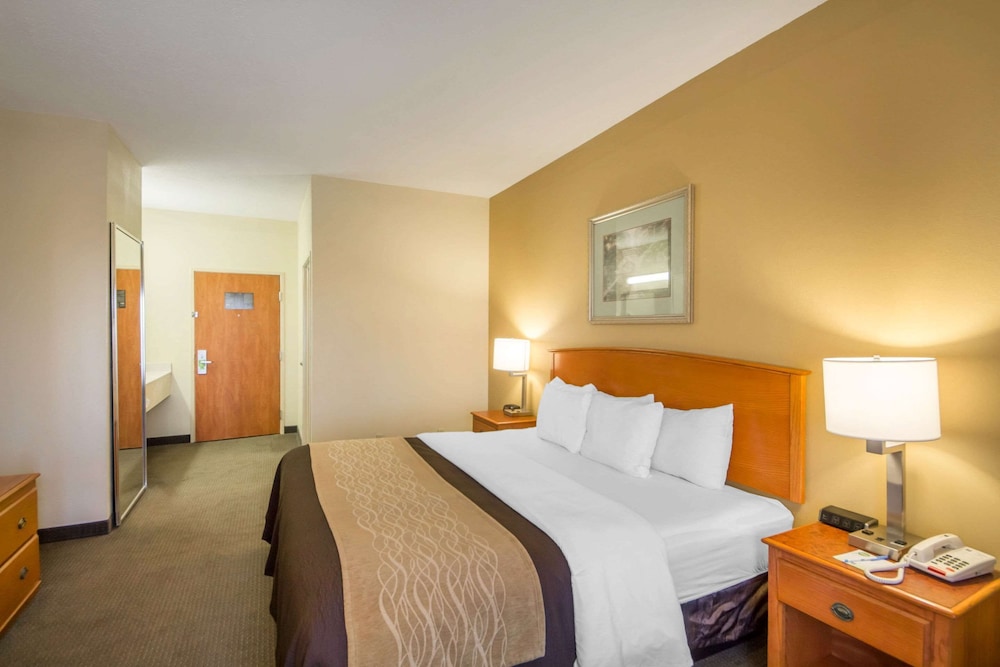 Standard Room, 1 King Bed, Non Smoking - Photo 5
