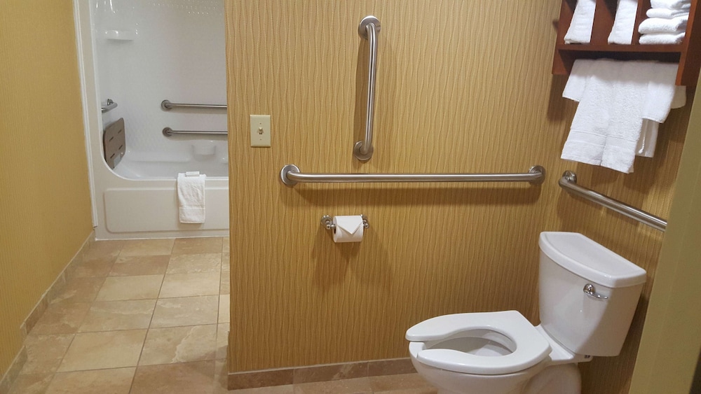 Room, 1 King Bed, Accessible, Refrigerator & Microwave (Bathtub) - Photo 5