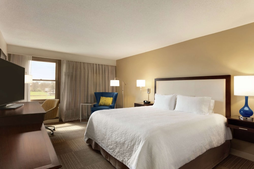 Room, 1 King Bed, Accessible, Bathtub (Wellness) - Photo 2