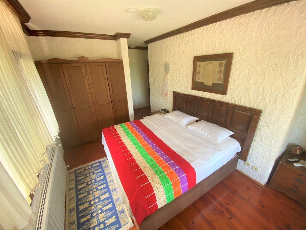 Deluxe Room photo 2