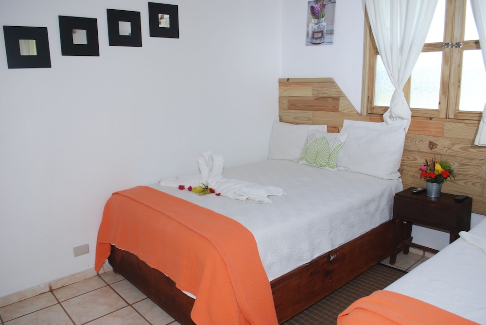Standard Quadruple Room, 2 Double Beds photo 3