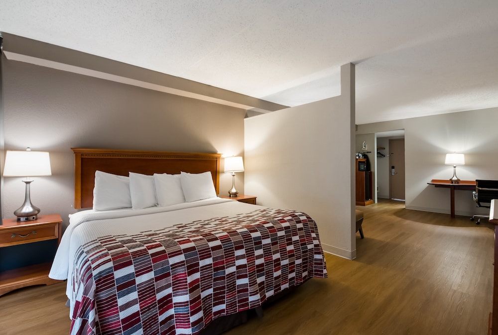 Suite, 1 King Bed, Non Smoking photo 1