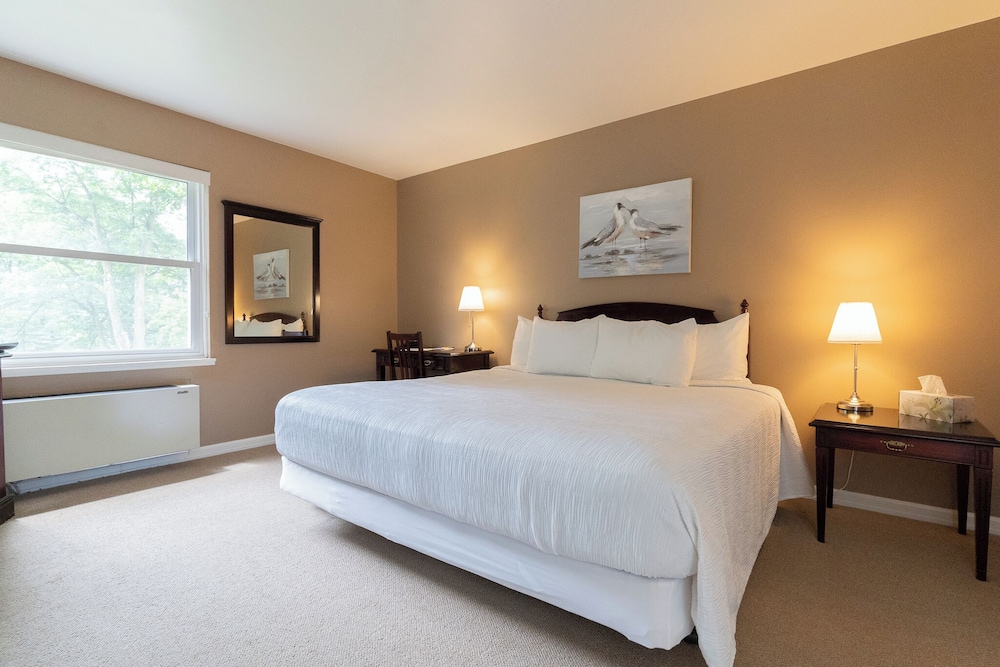 Deluxe Room, 1 King Bed, Non Smoking, Garden View photo 1