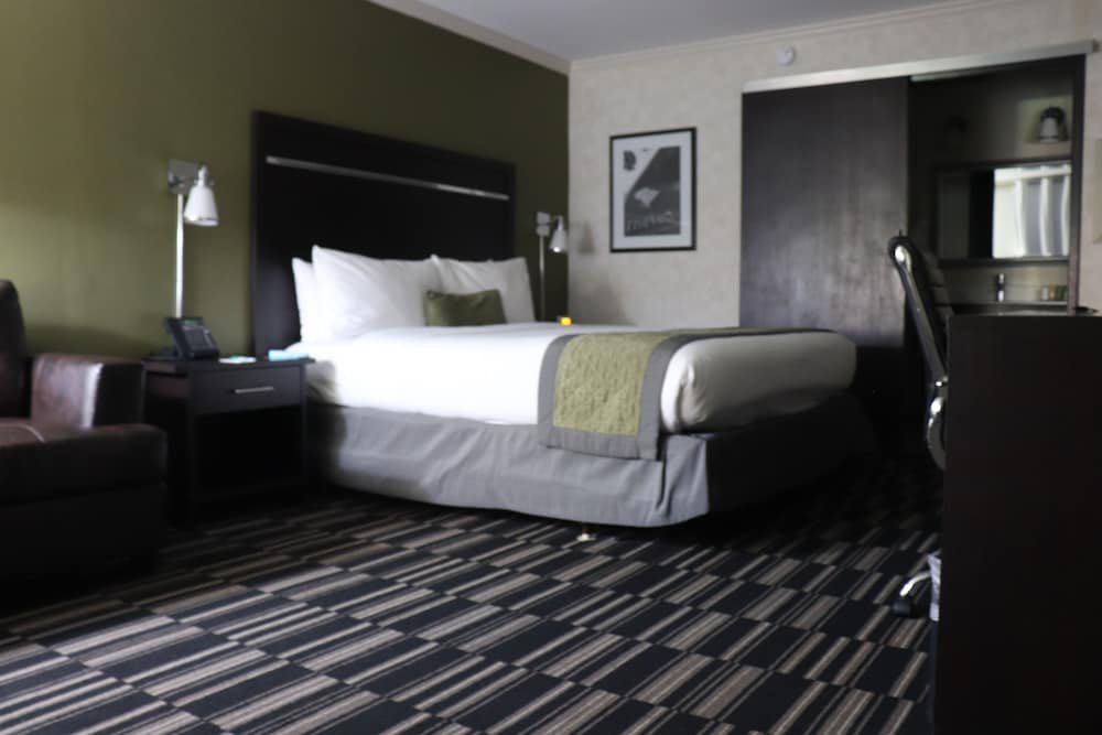 Standard King Bedroom - Photo 4