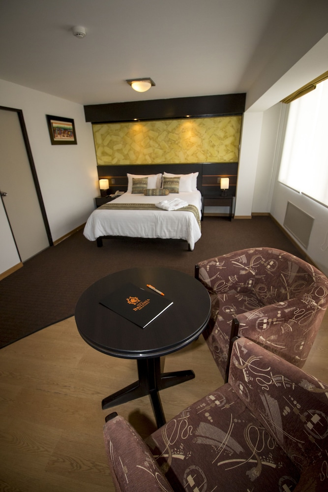 Suite, 1 Queen Bed photo 3