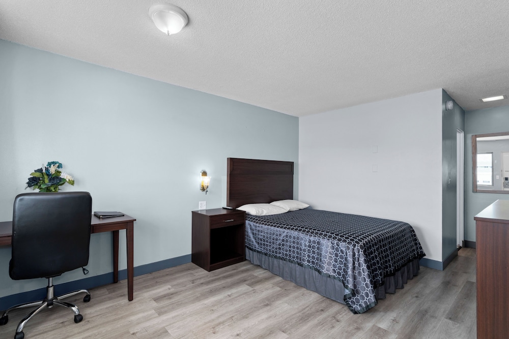 Room, 1 Queen Bed photo 1