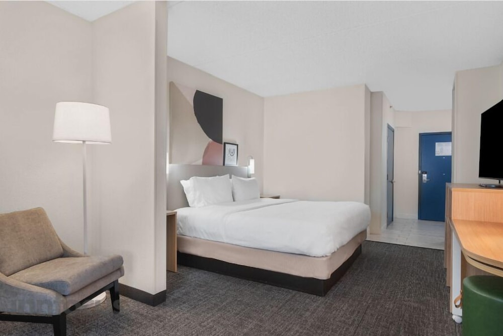 Room, 1 King Bed, Accessible, Bathtub (Mobility, Hearing) - Photo 3