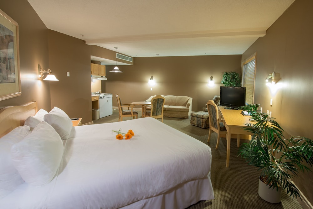 Executive Room, 1 King Bed photo 2