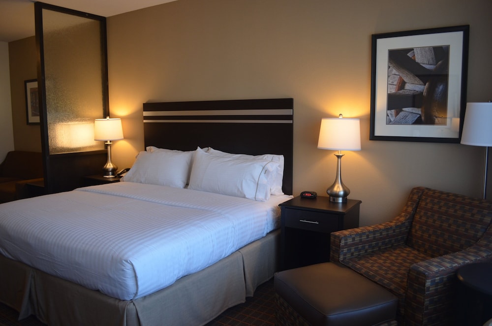 Suite, 1 King Bed (Additional Living Area), photo 6