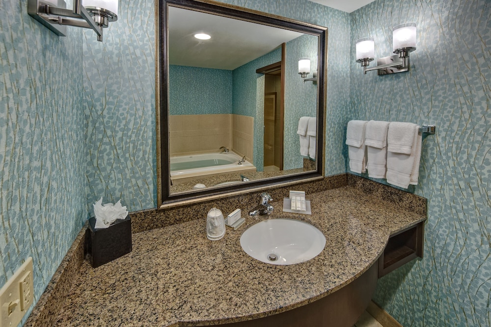 Suite, 1 Bedroom - Photo 4