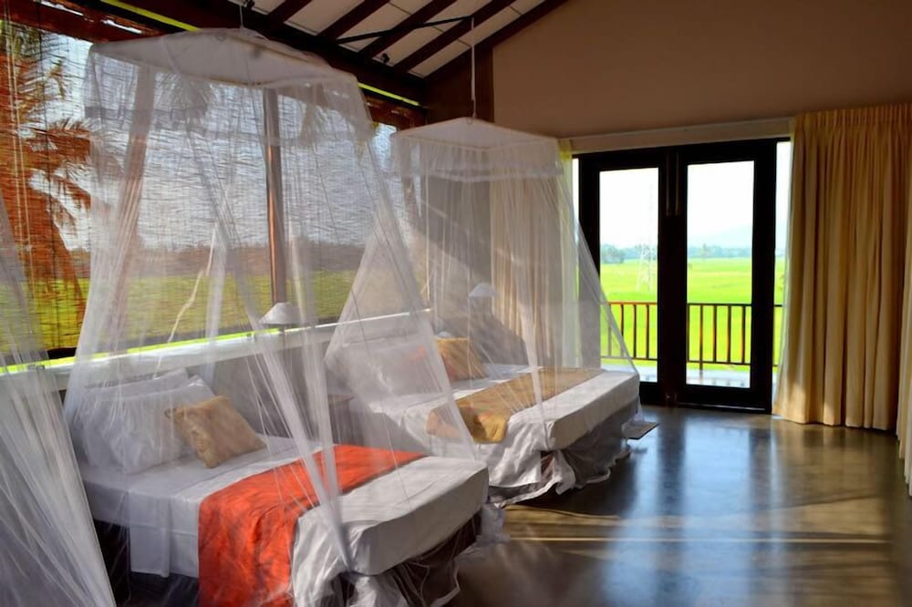 Family Room, Garden View, Garden Area photo 3