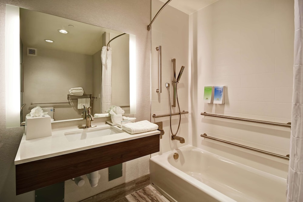 Studio, 1 King Bed, Accessible, Bathtub (Mobility & Hearing)