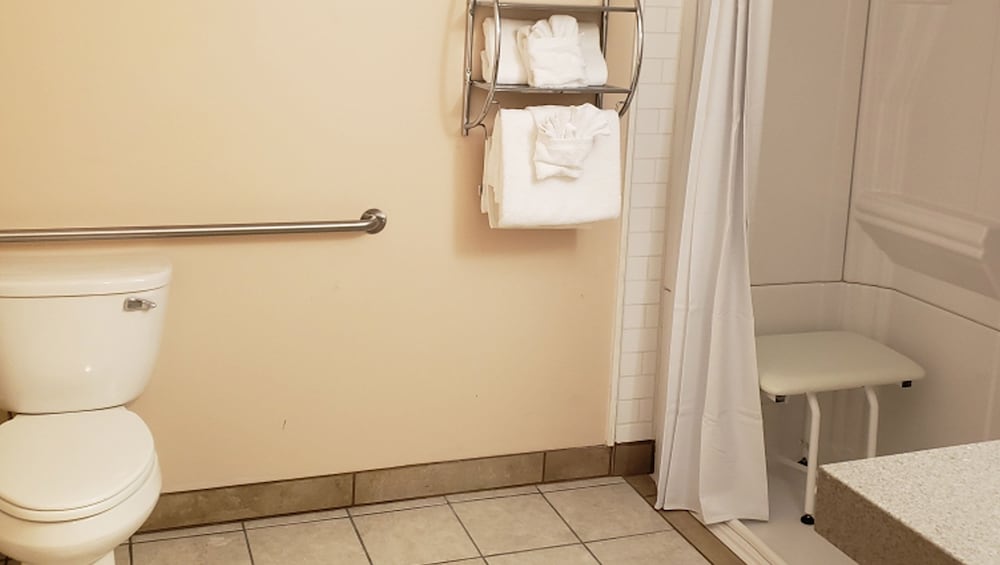 Room, 1 King Bed, Accessible, Non Smoking photo 3