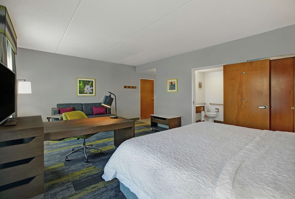 Studio, 1 King Bed, Accessible, Non Smoking - Photo 4