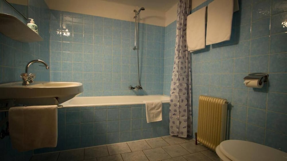 Double Room, 1 Double Bed, Mountain View, Slope side photo 3